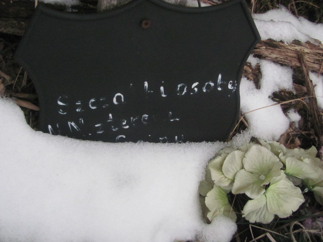  NN Sieradz Kłocko - Grobonet - Wyszukiwarka osób pochowanych