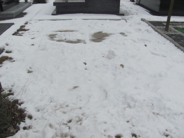 Jerzy RYBCZYŃSKI 1939 Sieradz Kłocko - Grobonet - Wyszukiwarka osób pochowanych