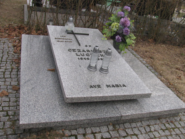 Grób ALICJA ŁUCZAK