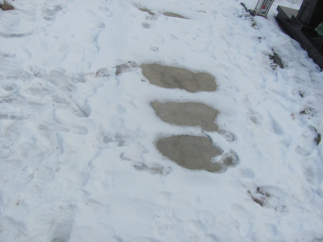 Grób IRENA PIOTROWSKA